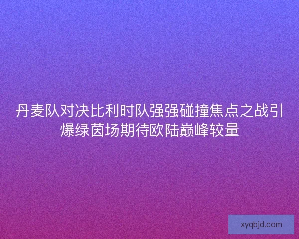 丹麦队对决比利时队强强碰撞焦点之战引爆绿茵场期待欧陆巅峰较量
