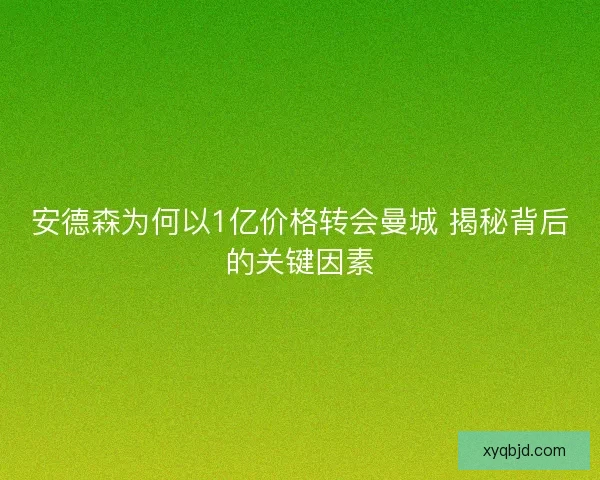 安德森为何以1亿价格转会曼城 揭秘背后的关键因素 安德森为何以1亿价格转会曼城 揭秘背后的关键因素